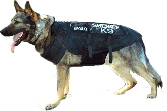 K-9 ARMOR accepts donations to give free bulletproof vests to CA police dogs